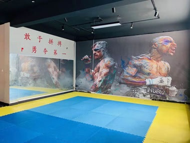 上海长宁区某企业安保部就技术问题，咨询远德保安公司